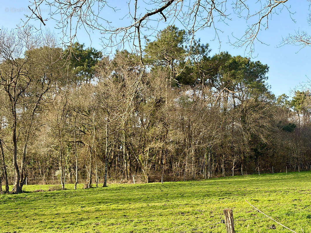 Terrain à SALLERTAINE