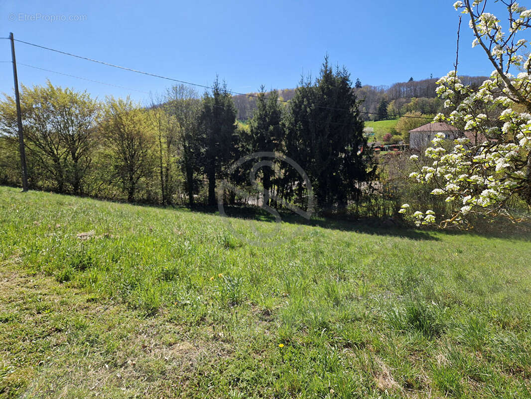 Maison à BIZONNES