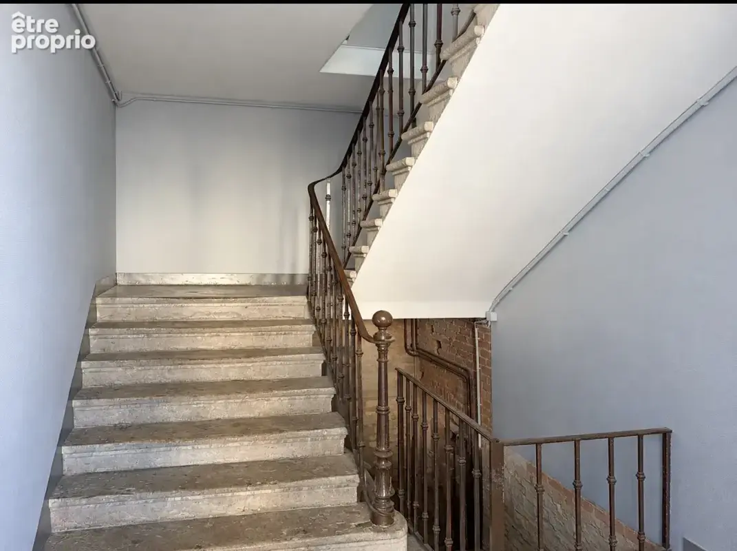 Immeuble 400m2 quincieux - photo 3