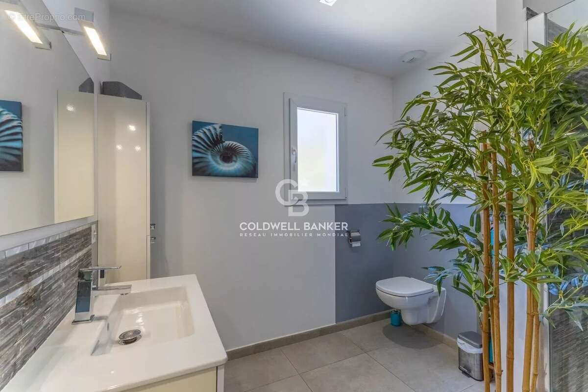 Maison à MONTICELLO