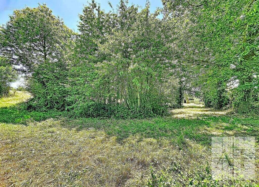 Propriété en pierre à rénover avec dépendances et 4 187 m² de terrain - photo 17