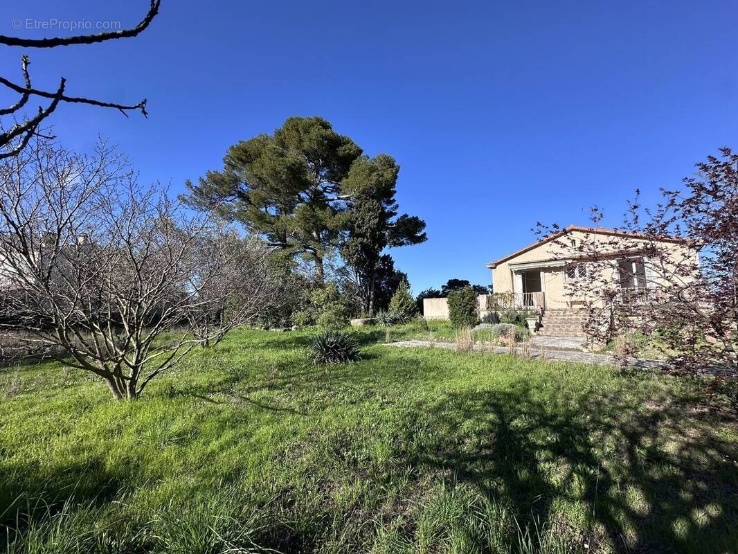 Maison à MONTPELLIER