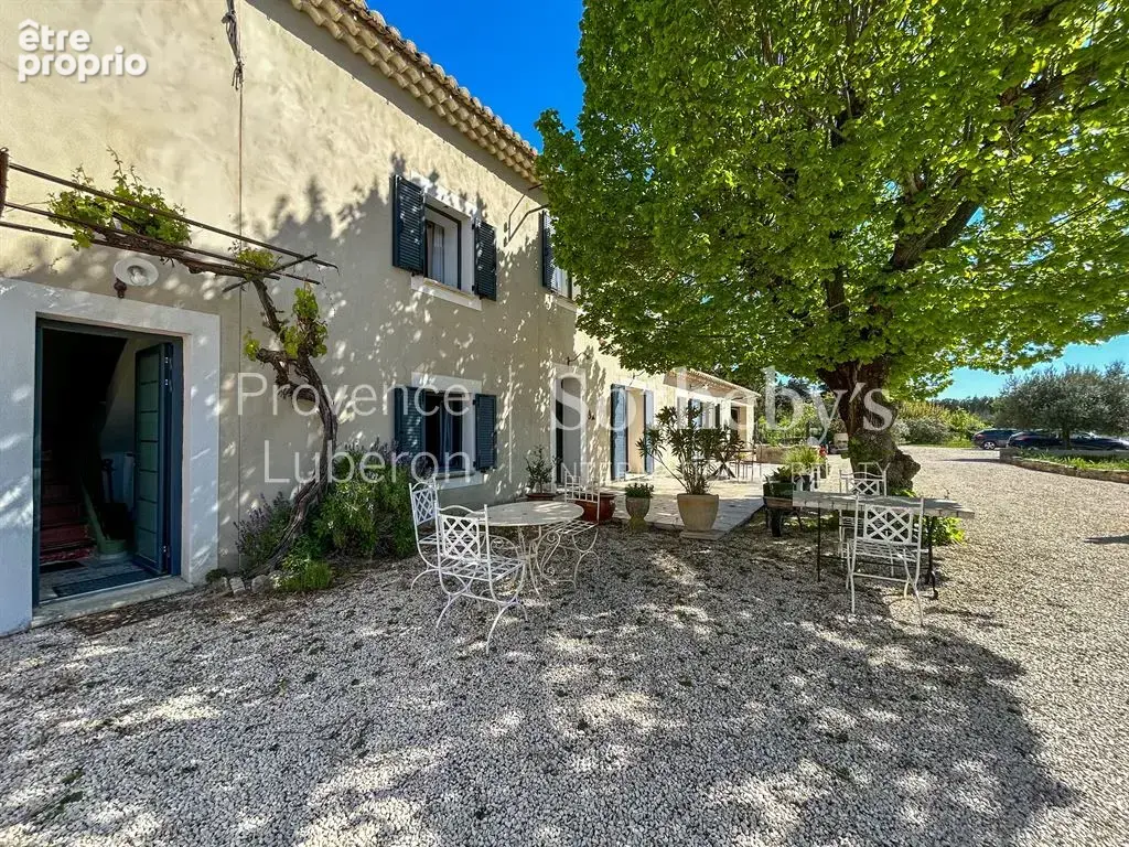 Mas rénové et son champs de lavande à l'Isle sur la Sorgue - photo 3