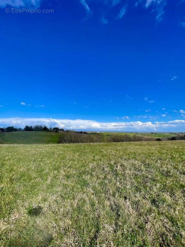 Terrain à LA SALVETAT-BELMONTET