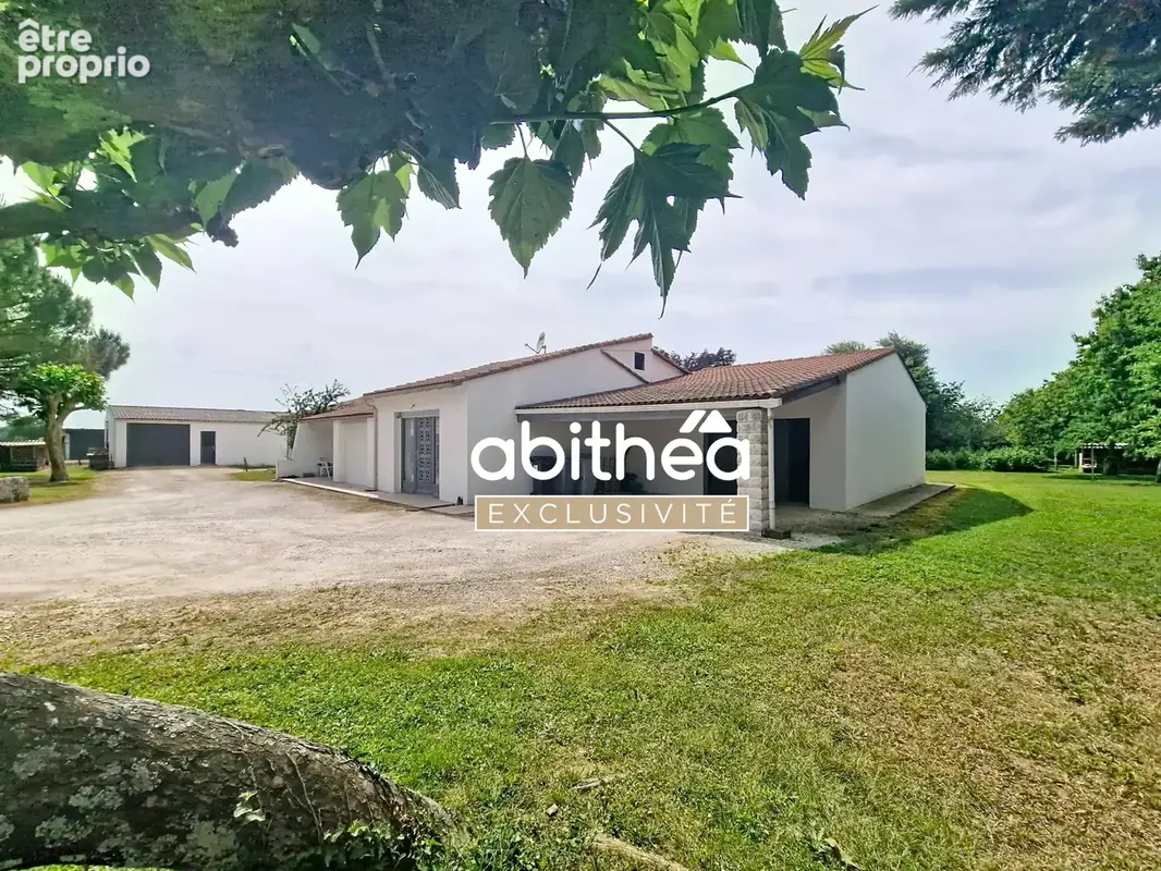 Rare  ideal artisan  350m2 de hangar  143m2 hab a rafraichir  6000m2 de terrain clos - photo 23
