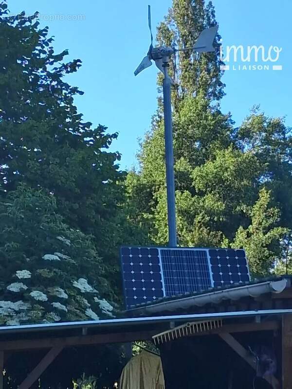 Commerce à APREMONT