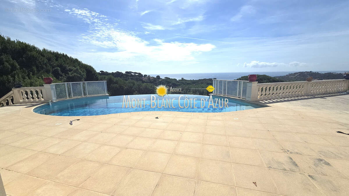 Villa vue mer paoramique 5 chambres grand terrain piscine calme - photo 7