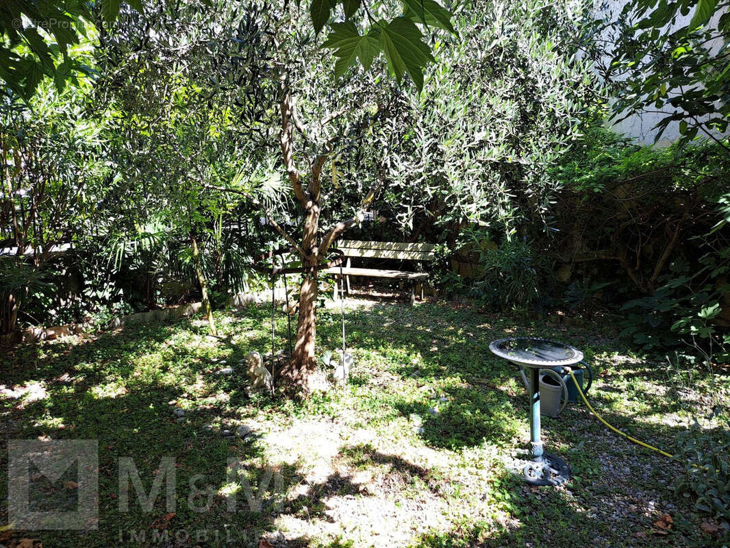 Maison avec terrain 2 ha - photo 13
