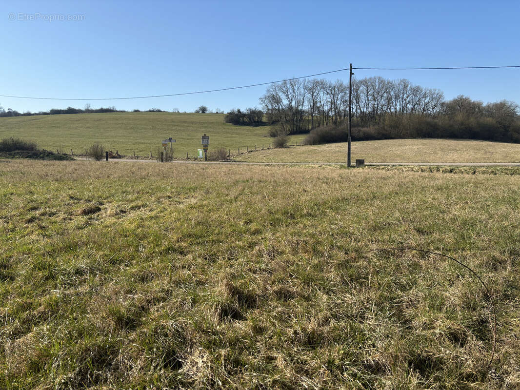 Terrain à BOUZONVILLE