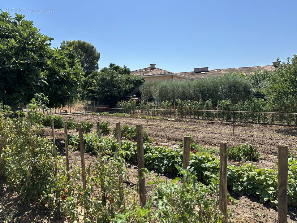 Terrain à LA VALETTE-DU-VAR