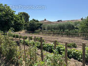 Terrain à LA VALETTE-DU-VAR