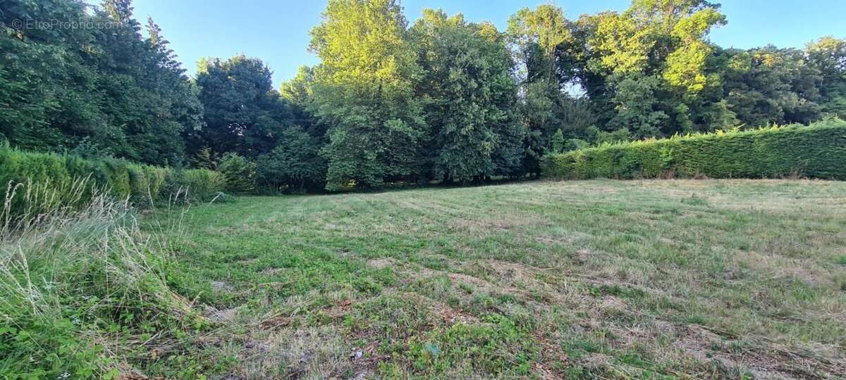 20 minutes de dijon - rare a la vente - terrain de 1ha15ares et 45ca - photo 5