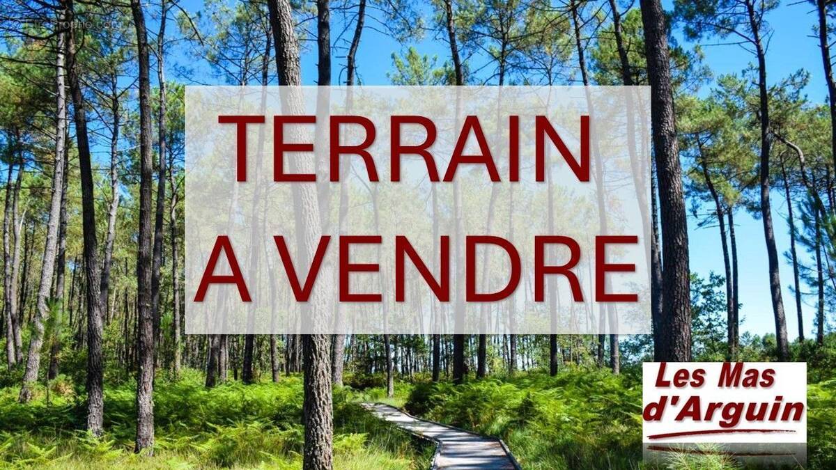 Terrain à SANGUINET