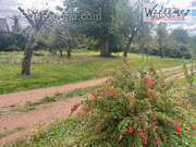 Maison à GOMMEGNIES