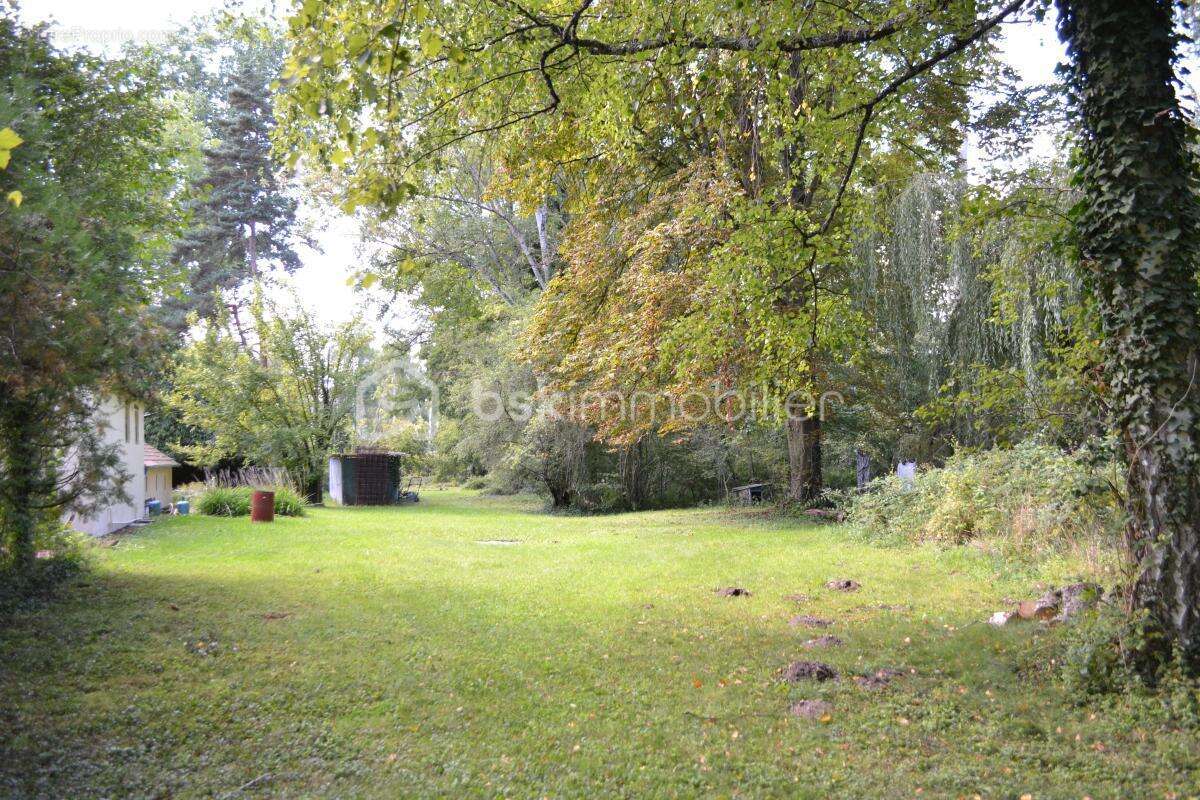 A vendre -longere de 121 m² sur 8000 m² de terrain arbore - photo 4