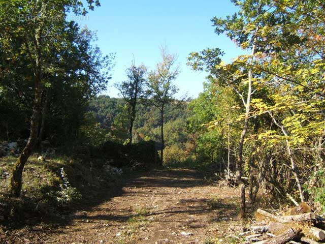 Ancienne ferme avec bois et prairies - photo 3