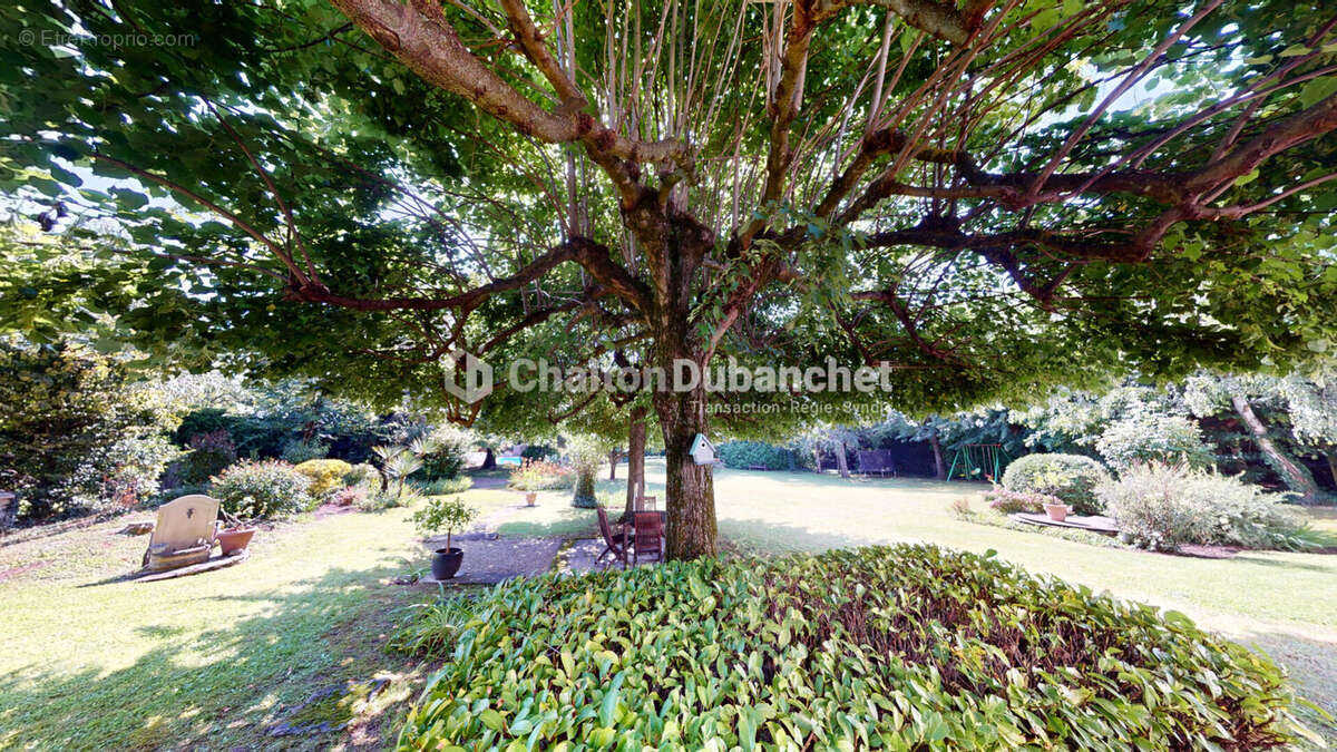 RIORGES (42) - Superbe Maison de Maître avec Parc Arboré, Piscine et Dépendances - photo 5