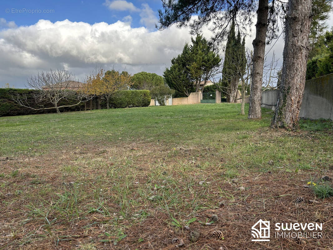 Terrain à LAVALETTE