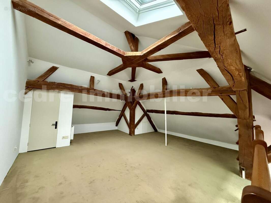 IMG_3497 - Appartement à ORLEANS