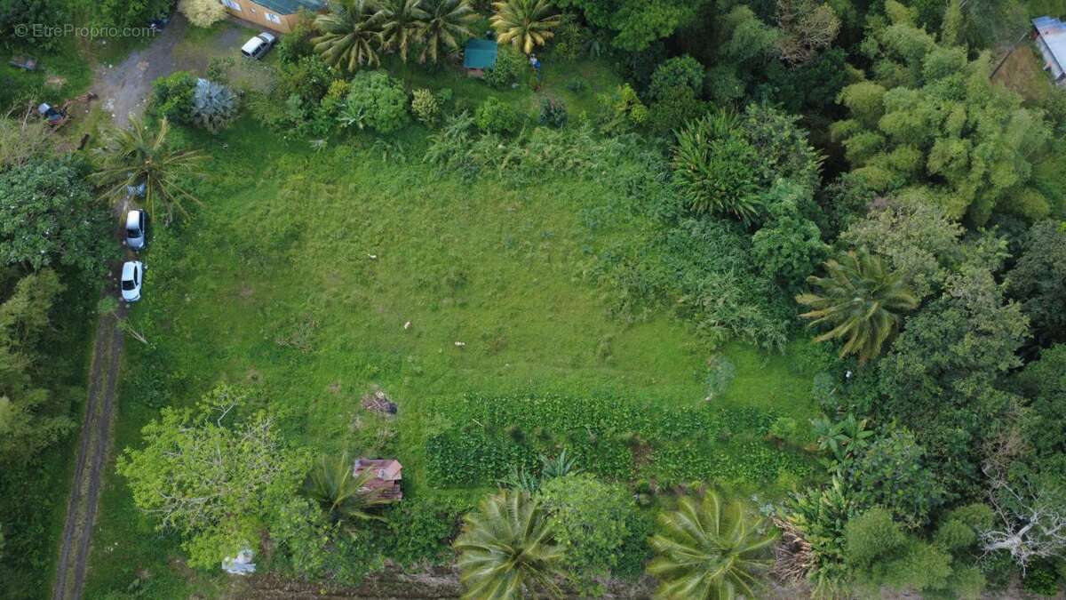 Terrain à LE MORNE-ROUGE