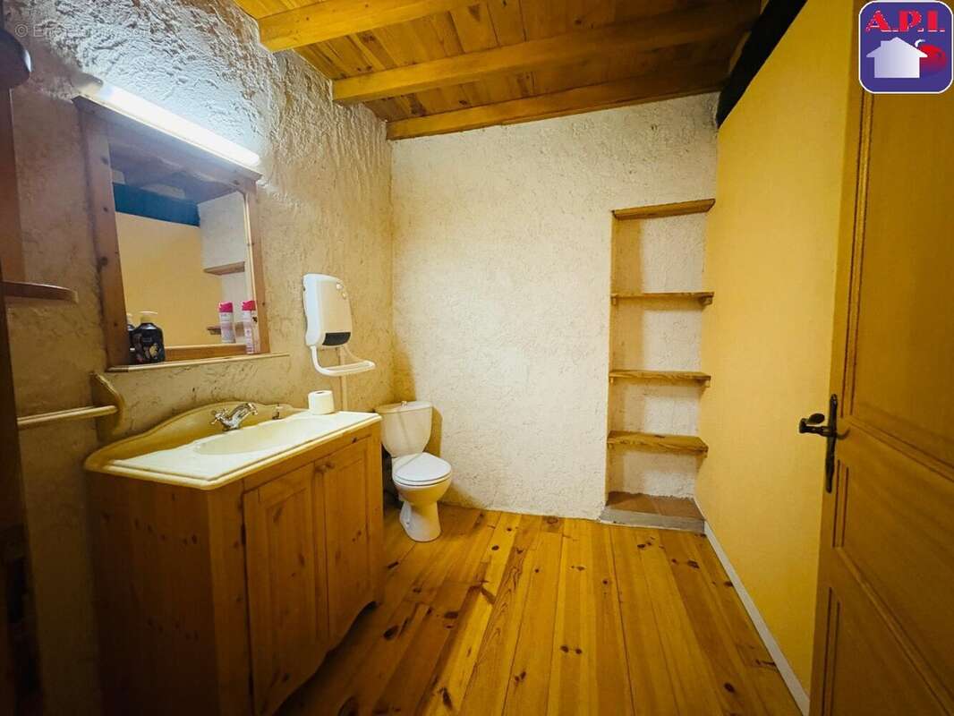 Maison 169 m² à Le Mas-D'azil  - photo 10