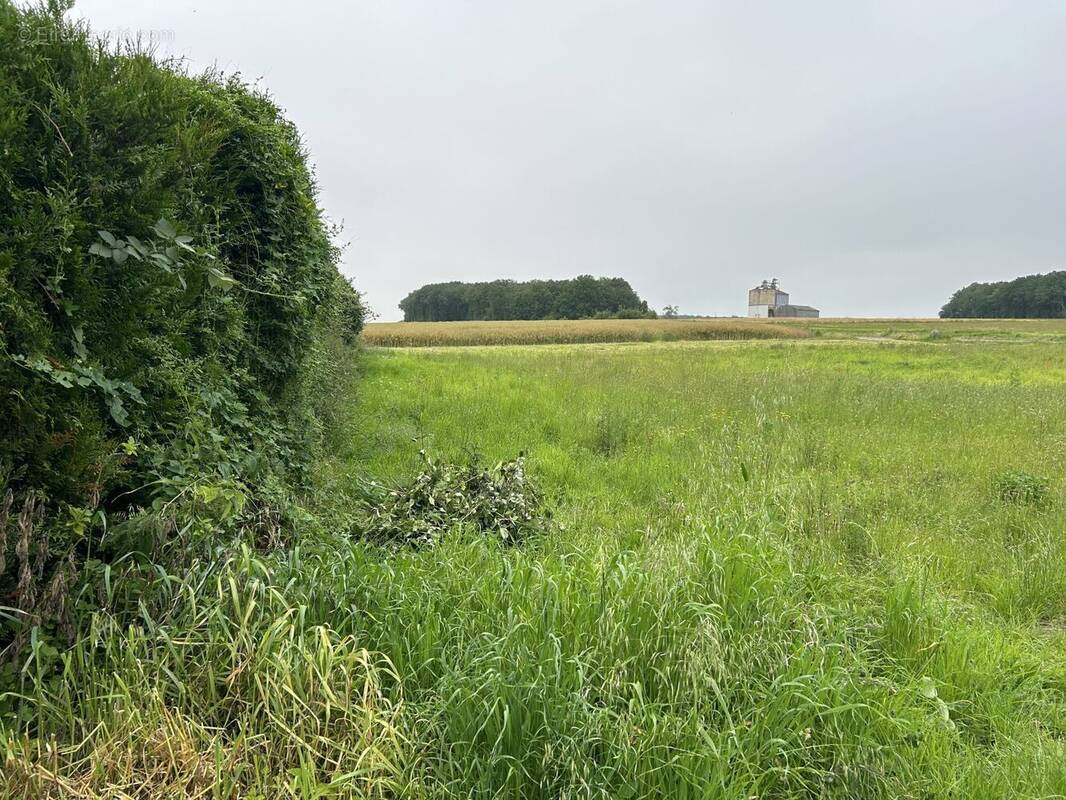 Terrain à SAINT-ARNOULT-DES-BOIS
