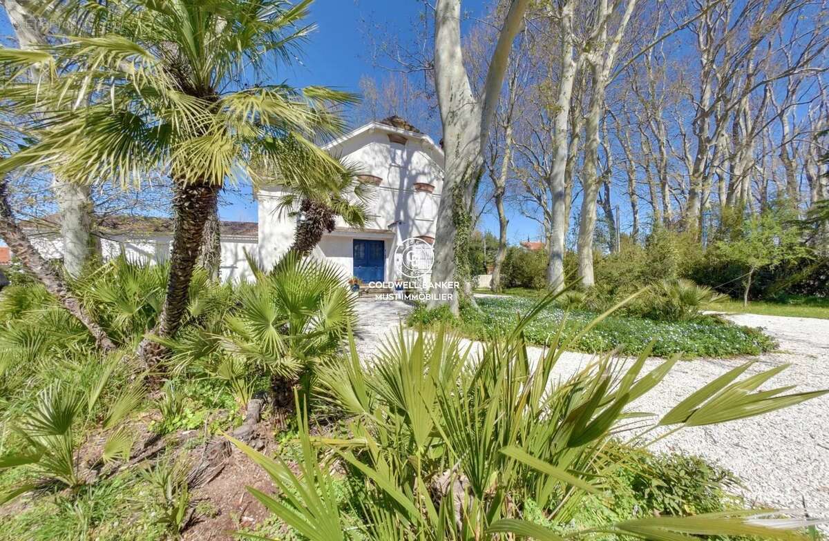 Maison à RIVESALTES