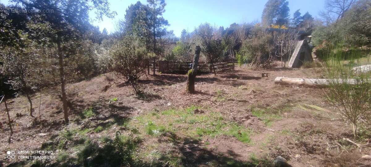 Terrain à VABRES