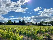 Terrain à GUZARGUES