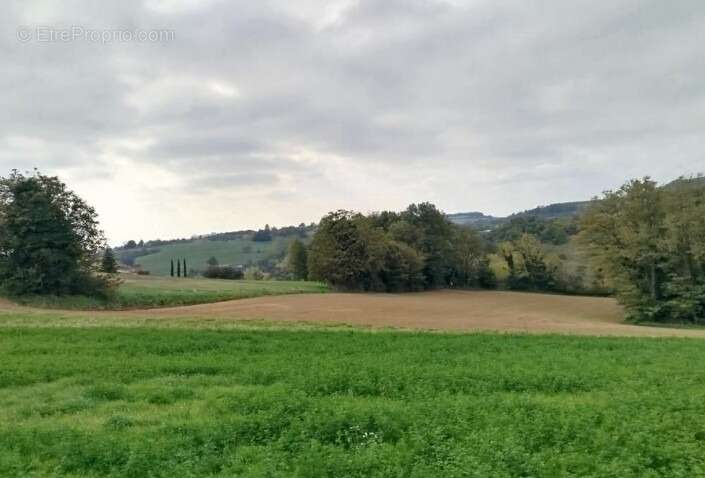 Terrain 731 m² à Hauterives  - photo 4