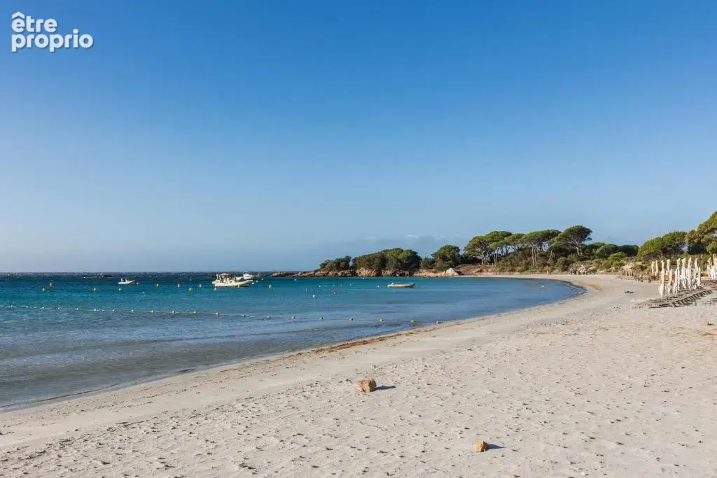 Investissement en residence de tourisme - photo 14
