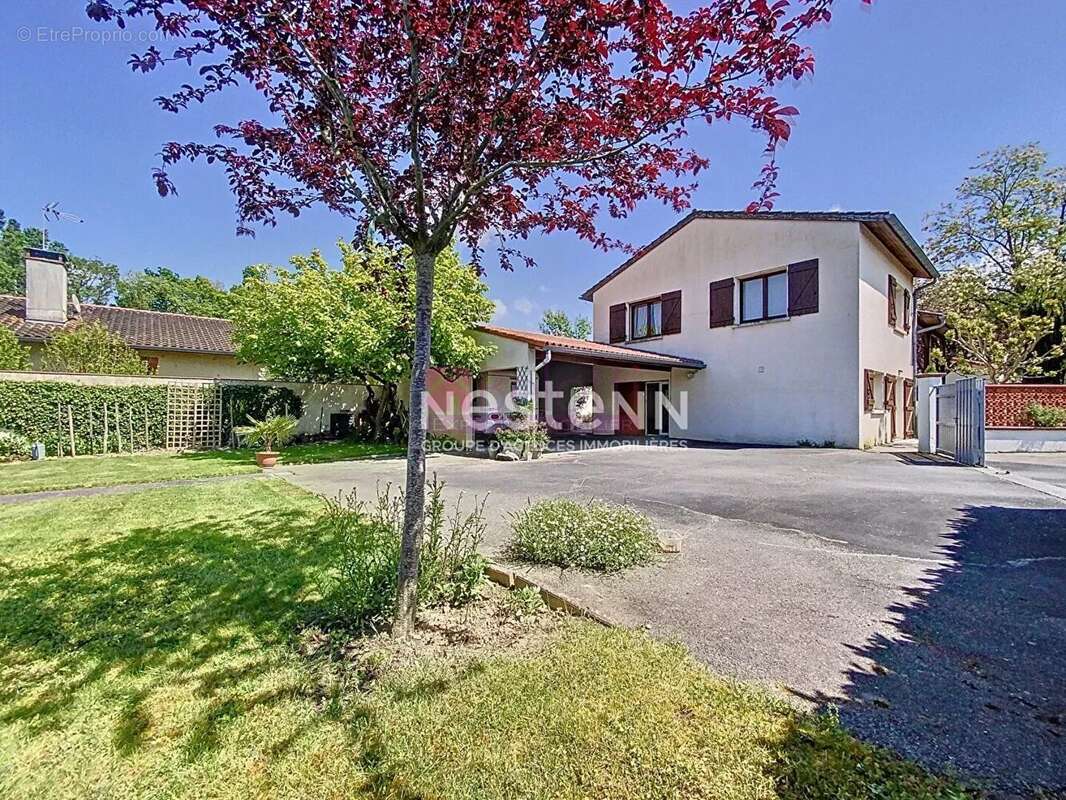 Maison à VILLENEUVE-TOLOSANE