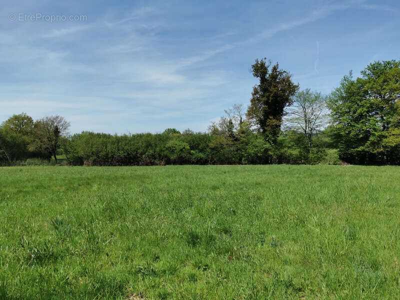 Terrain à JAVERDAT
