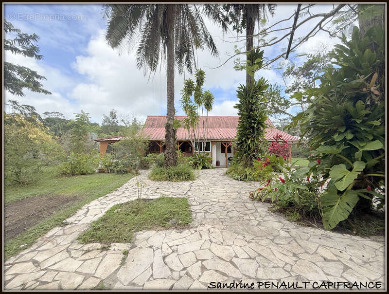 A vendre a sinnamary une magnifique maison t6 de 122 m² superficie terrain 3,5 hectares - au prix de 249 000 € - photo 6