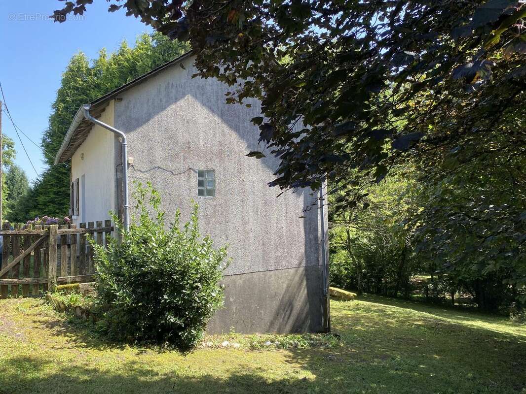 Maison 40 m² à Saint-Gilles-Les-Forets  - photo 3