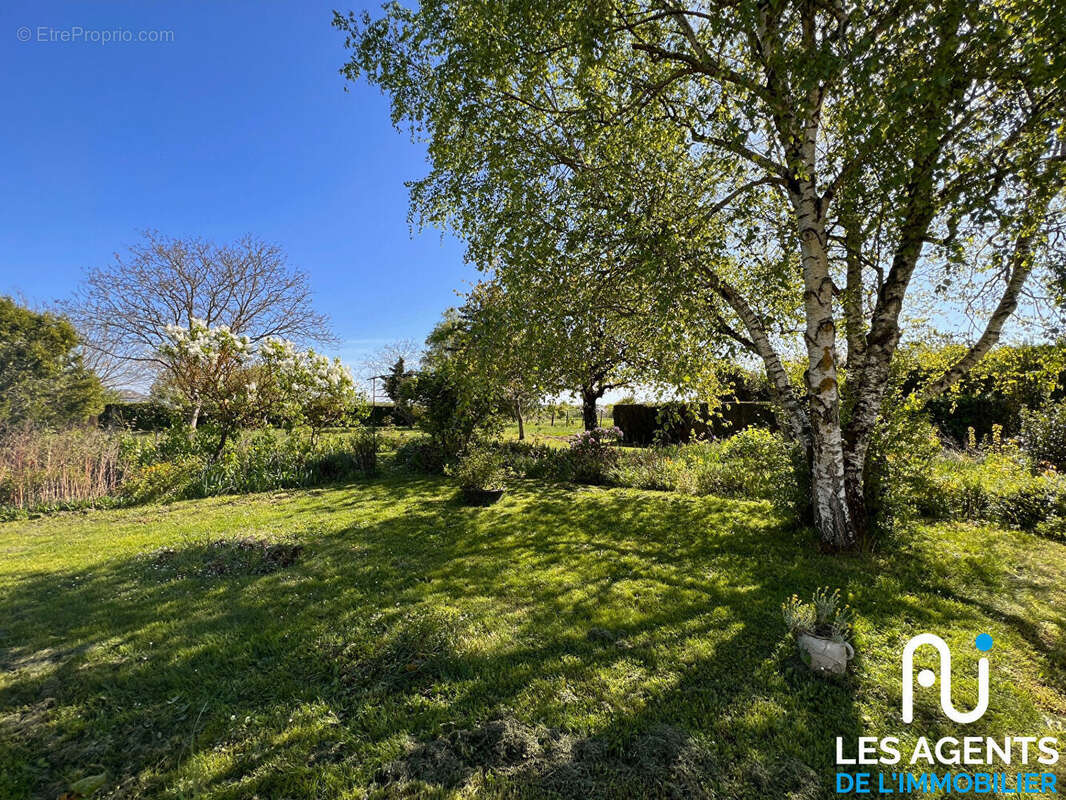 Terrain à CHARSONVILLE