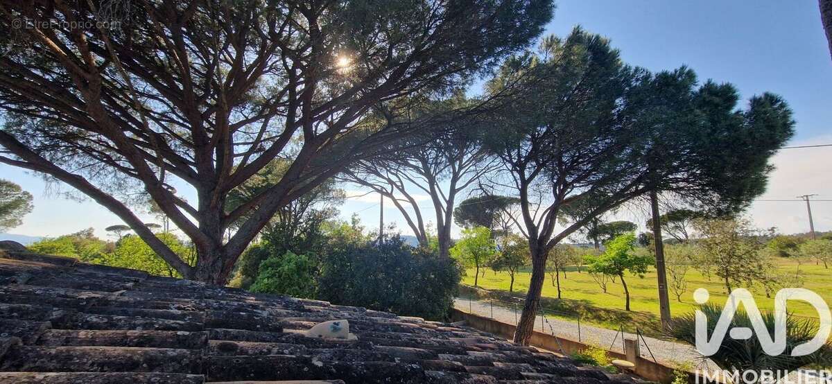 Photo 2 - Maison à VIDAUBAN