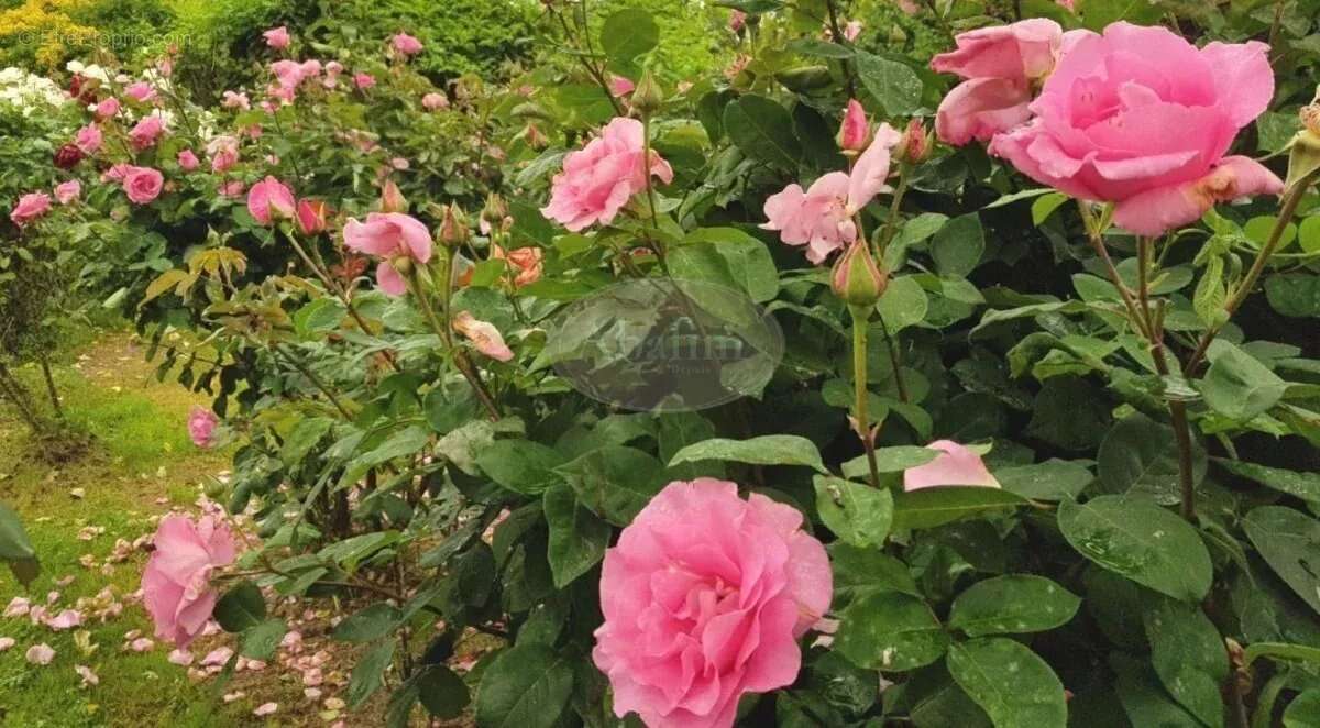 Maison à MAUBOURGUET