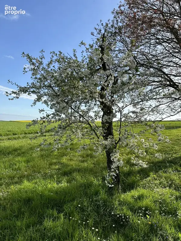 Maison  de campagne de 202 m2,charme et calme au rdv,nombreuses dependances sur terrain et verger de 4507m2 - photo 31