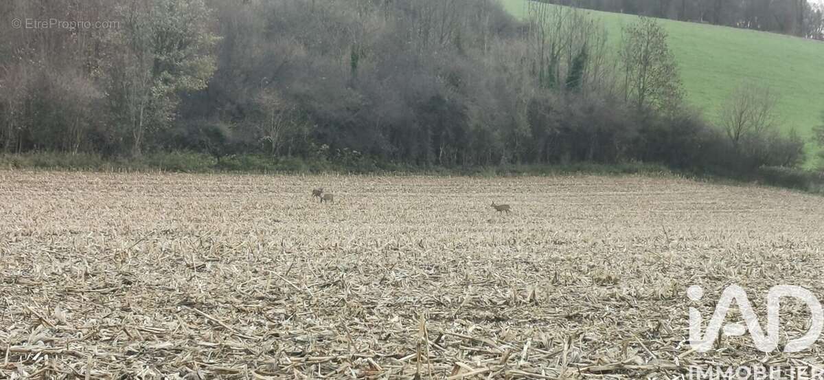 Photo 9 - Maison à ALEMBON