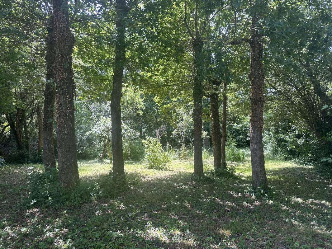 Maison à LE CELLIER