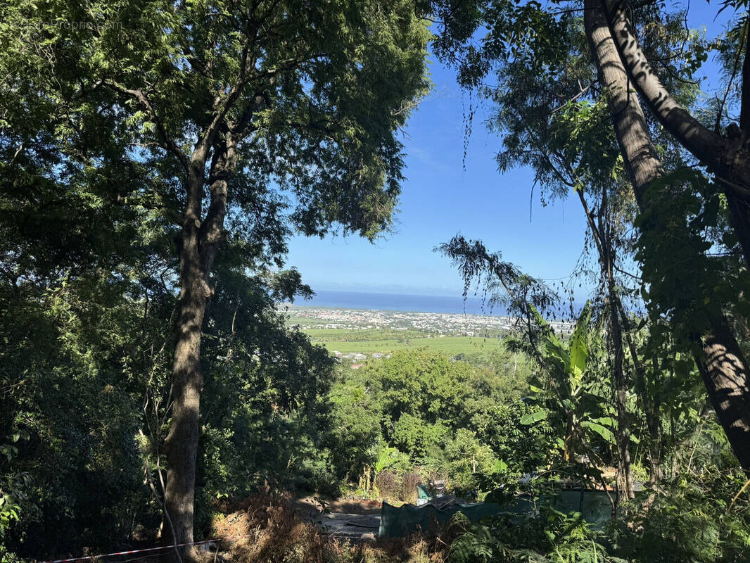 Photo 1 - Terrain à SAINT-LOUIS