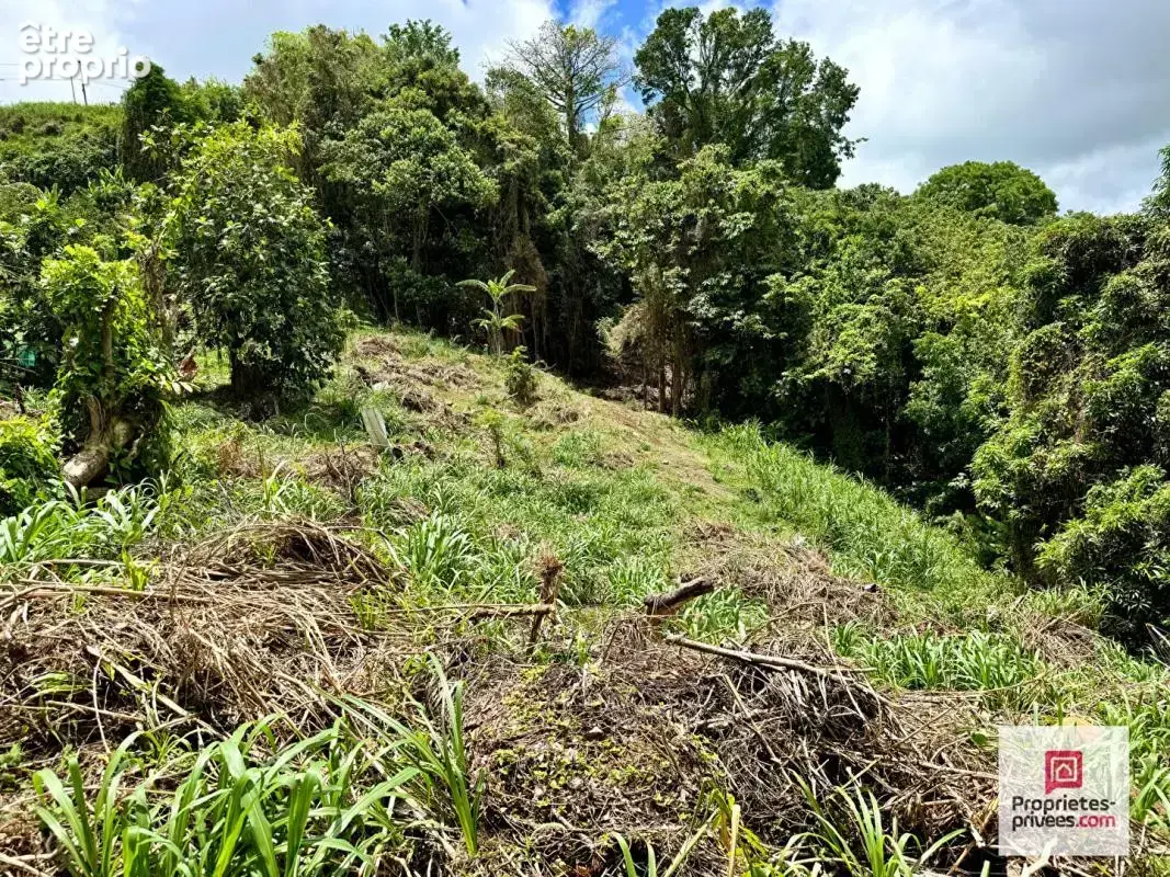 Nouveauté - terrain constructible 3 250 m² - vue mer - sainte-luce - photo 2