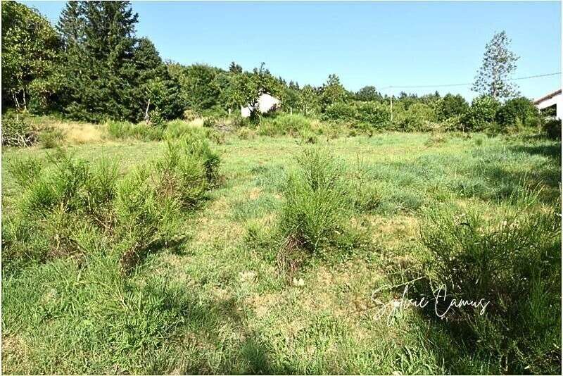 Terrain à vendre de 1 300,00 m² SAINT PAL DE MONS (43) - photo 2