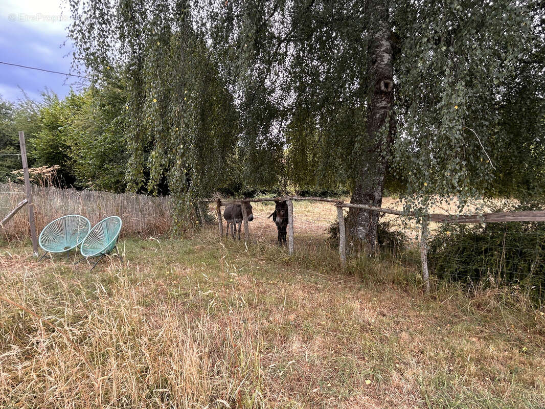 Maison à LA FORET-DU-TEMPLE