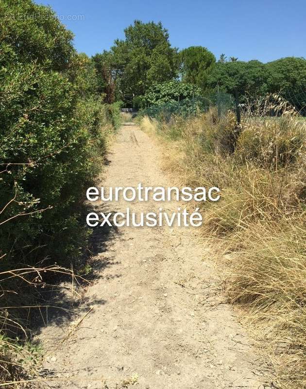 Terrain à MONTBAZIN