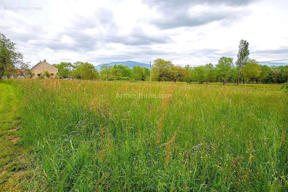 Vente Terrain Injoux-genissiat(01200) 139 000ï¿œ - photo 2