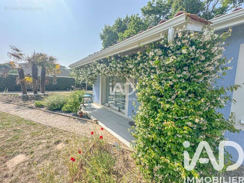 Photo 7 - Maison à CASTELNAU-DE-MEDOC