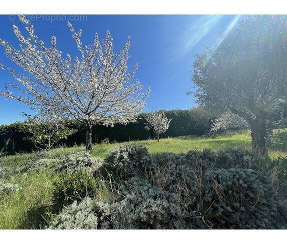 Terrain à POMPERTUZAT