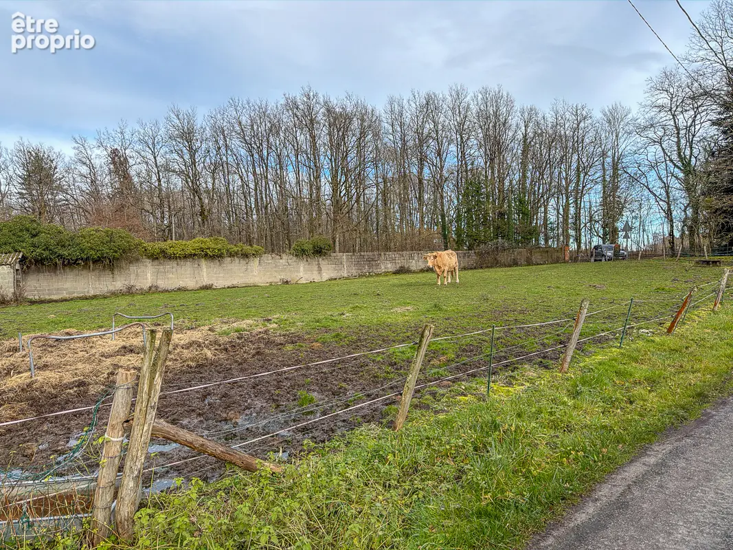 Terrain Cosntructible -Theillay - 1106 m² - - photo 2